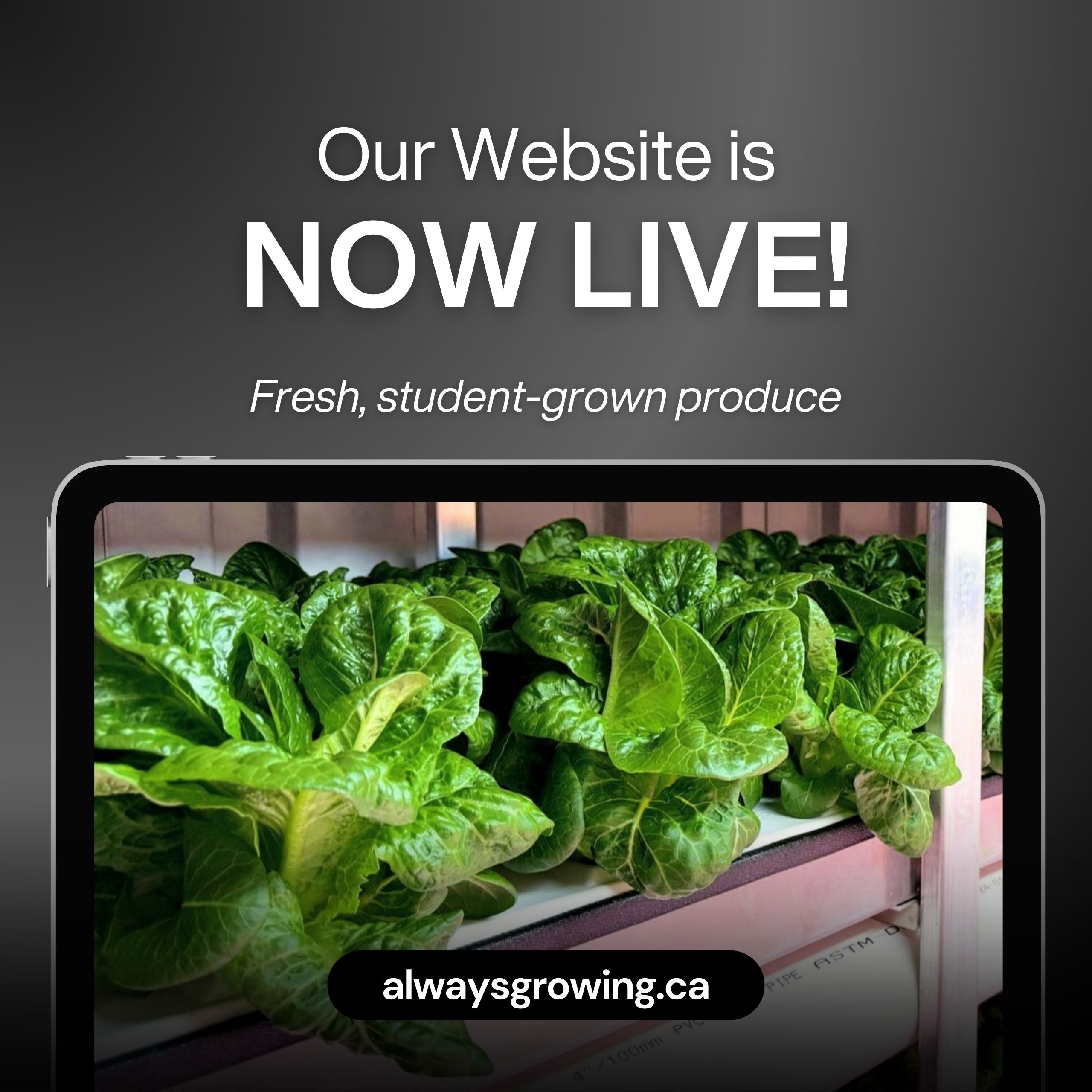 alwaysgrowing.ca